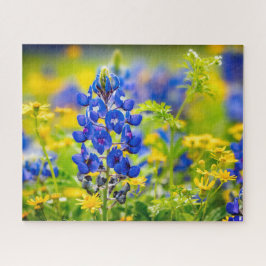 Puzzle Flor azul de Texas con amarillo