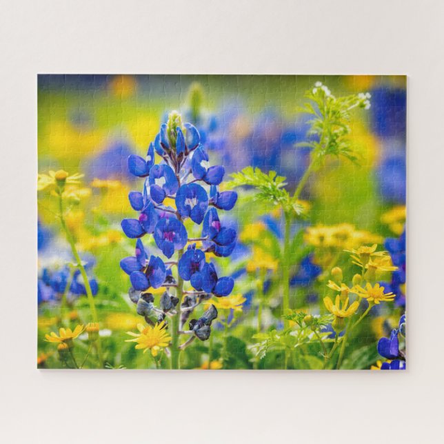 Puzzle Flor azul de Texas con amarillo (Horizontal)