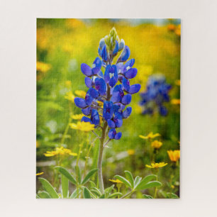 Puzzle Flor azul de Texas con amarillo