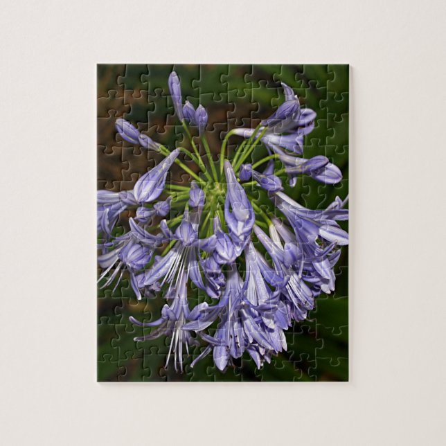 Puzzle Flor azul púrpura del agapanthus en la floración (Vertical)