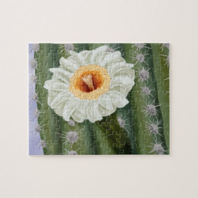 Puzzle Flor blanca de Saguaro Cactus ilustrada (Horizontal)