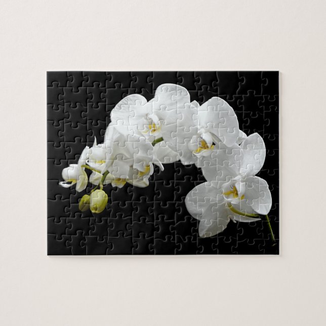 Puzzle Flor blanco de la orquídea (Horizontal)