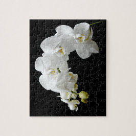 Puzzle Flor blanco de la orquídea