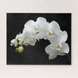 Puzzle Flor blanco de la orquídea