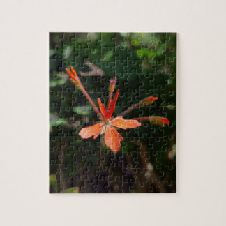 Puzzle Flor Carmesí en Flor – Sinfonía de Pétalos de la N