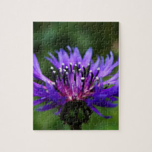 Puzzle Flor de Aciano Azul Flor de la Paz Amor Destino