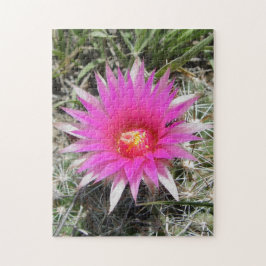Puzzle Flor de Cactus Bola F12 "Escobaria vivipara"