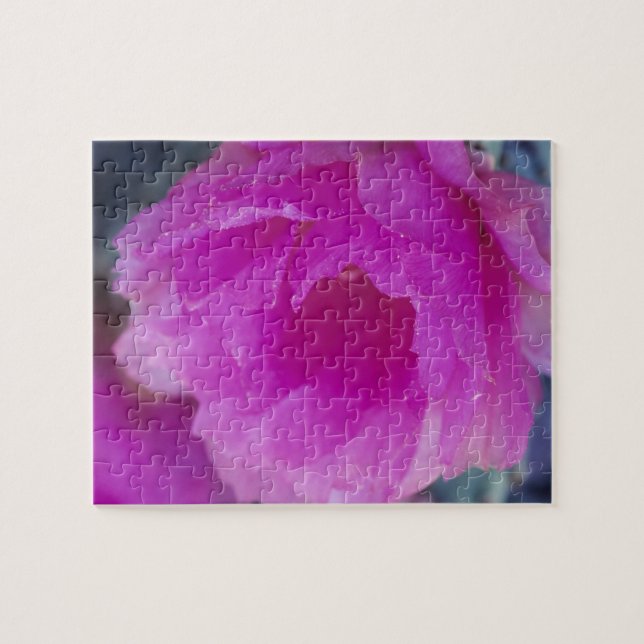 Puzzle Flor de cactus erizo rosa (Echinocereus (Horizontal)