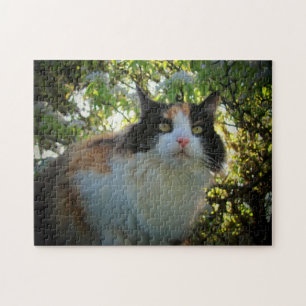Puzzle Flor de Calico por djoneill