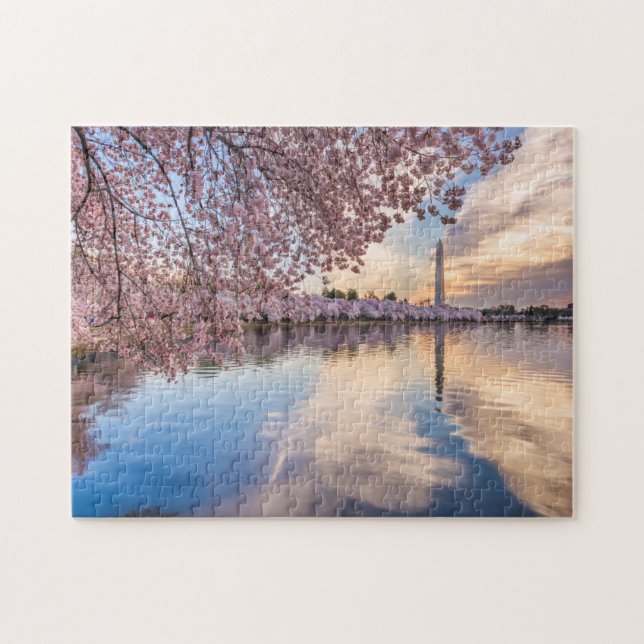 Puzzle Flor de cerezo de Washington D.C (Horizontal)
