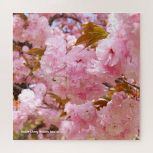 Puzzle Flor de cerezo doble: Sato-zakura