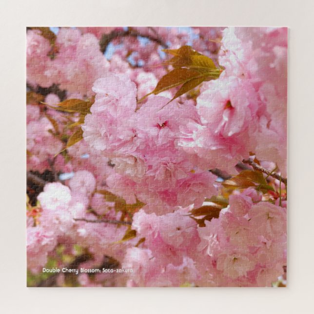Puzzle Flor de cerezo doble: Sato-zakura (Horizontal)