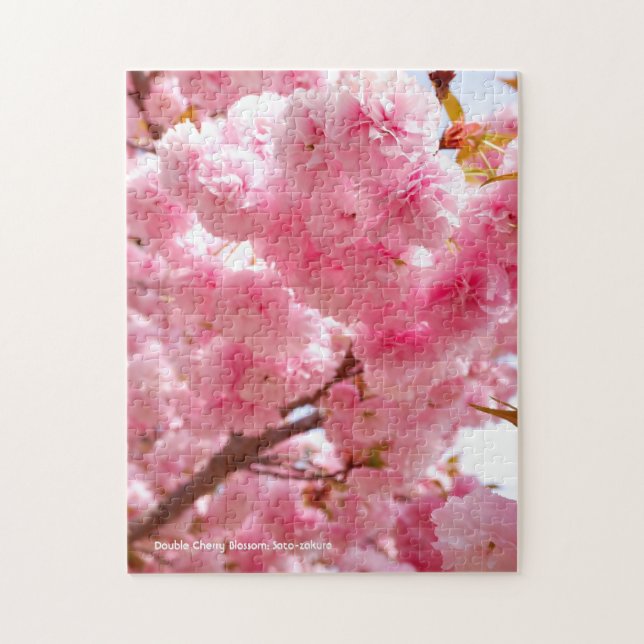 Puzzle Flor de cerezo doble: Sato-zakura (Vertical)