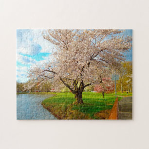 Puzzle Flor de Cerezo Nueva Jersey.