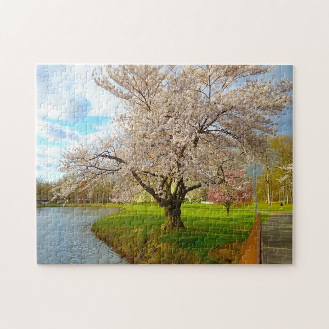 Puzzle Flor de Cerezo Nueva Jersey. (Horizontal)