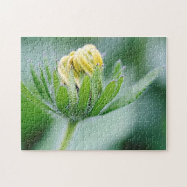 Puzzle Flor de cono en flor (Horizontal)