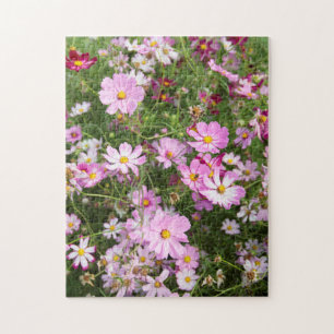 Puzzle Flor de Cosmos (Bidens Formosa). Kirkwood