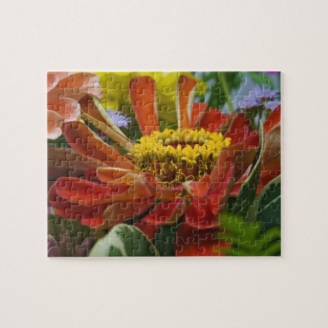 Puzzle Flor de crisantemo (Horizontal)