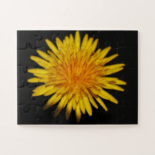 Puzzle Flor de Dandelion 11x14 30pc jpcn