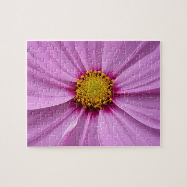 Puzzle Flor de flores silvestres rosadas Cosmos (Horizontal)