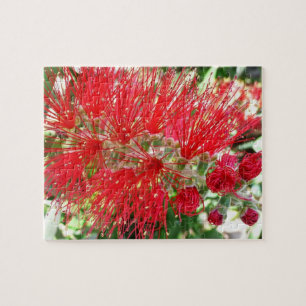 Puzzle Flor de frasco rojo tropical floral