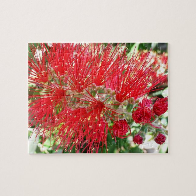 Puzzle Flor de frasco rojo tropical floral (Horizontal)