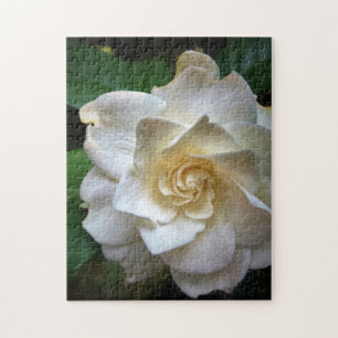 Puzzle Flor de gardenia blanca