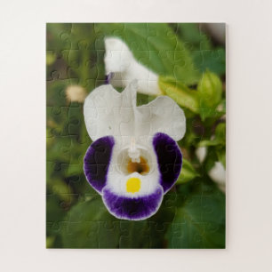 Puzzle Flor de Gardenorchid, flor
