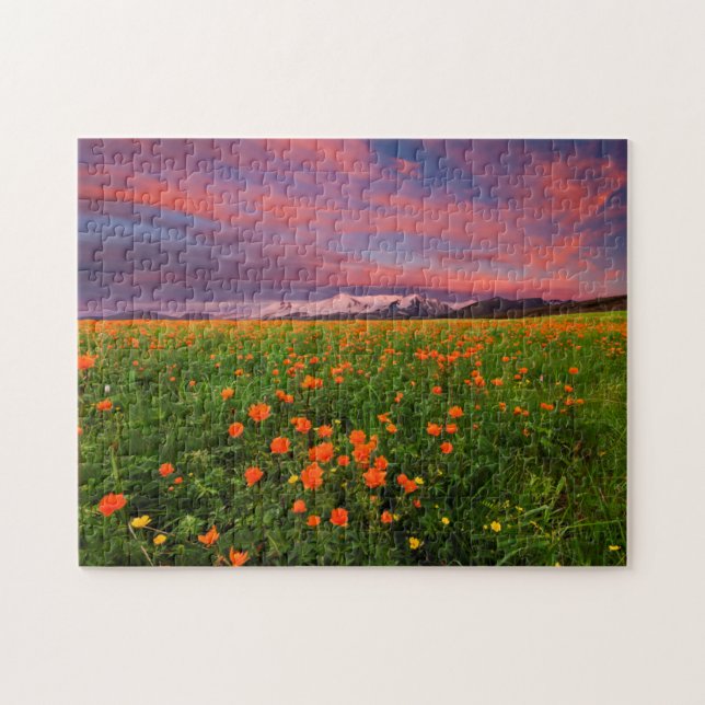 Puzzle Flor de globo floreciente (Horizontal)