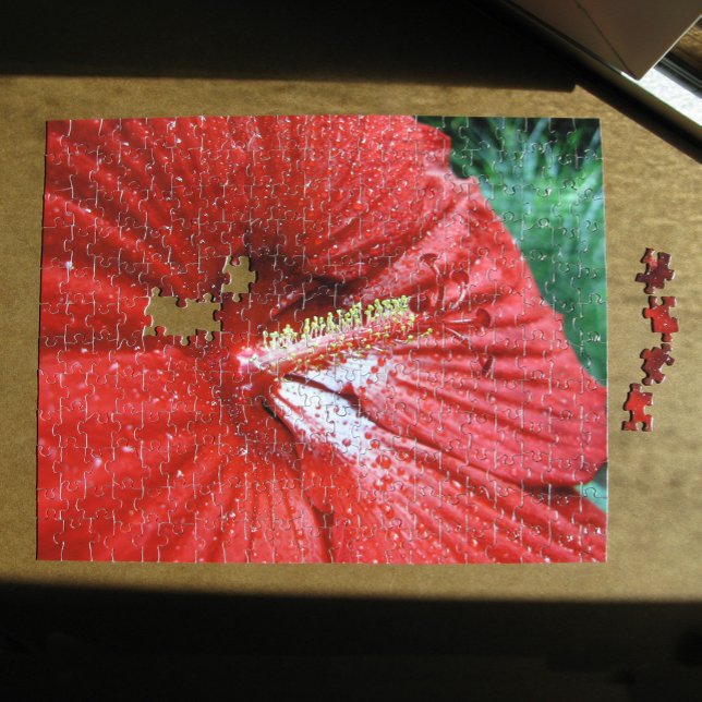 Puzzle Flor de Hibiscus con lluvia foto (Red Fireball Hibiscus Flower With Raindrops Photo Jigsaw Puzzle, in situ)