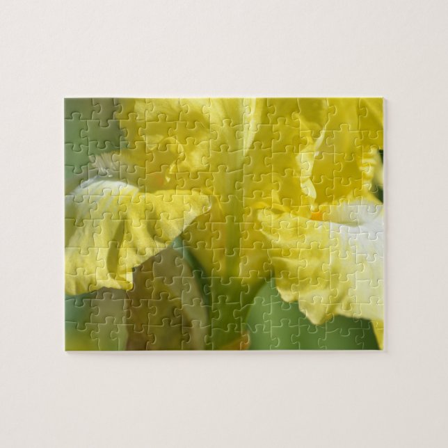Puzzle Flor de iris amarilla (Horizontal)