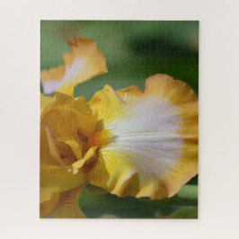 Puzzle Flor de iris amarilla