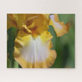 Puzzle Flor de iris amarilla