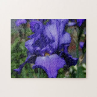 Puzzle Flor de iris con barba azul