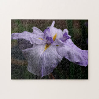 Puzzle Flor de iris japonesa intensa