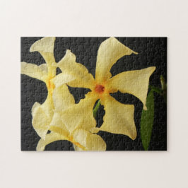 Puzzle Flor de jazmín de estrella 11x14 252pc jpcna