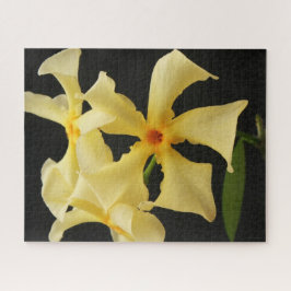 Puzzle Flor de jazmín de estrella 16x20 520pc jpcnm