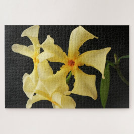 Puzzle Flor de jazmín de estrella 20x30 1014pc jpa