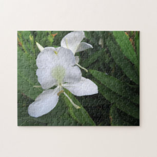 Puzzle Flor de jengibre blanco hawaiana