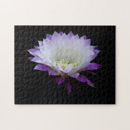 Puzzle Flor de la noche de Belle of the Ball