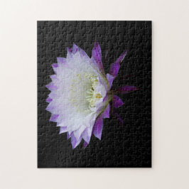 Puzzle Flor de la noche de Belle of the Ball