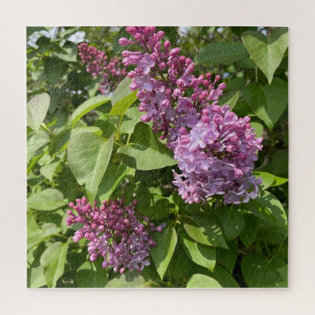 Puzzle Flor de Lila Rosa (Vertical)