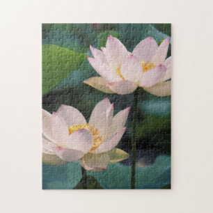 Puzzle Flor de loto en flor, China