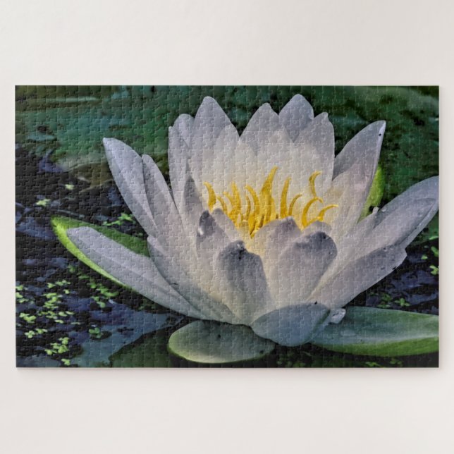 Puzzle Flor de Lotus blanco brillante (Horizontal)