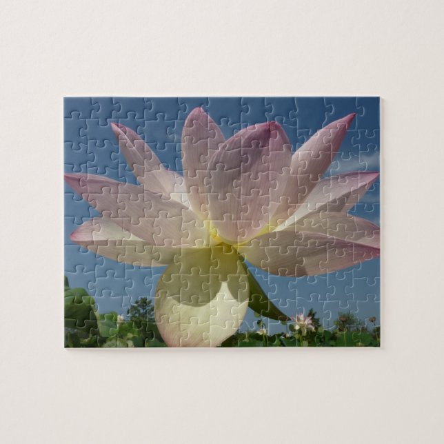 Puzzle Flor de Lotus y cielo azul II (Horizontal)