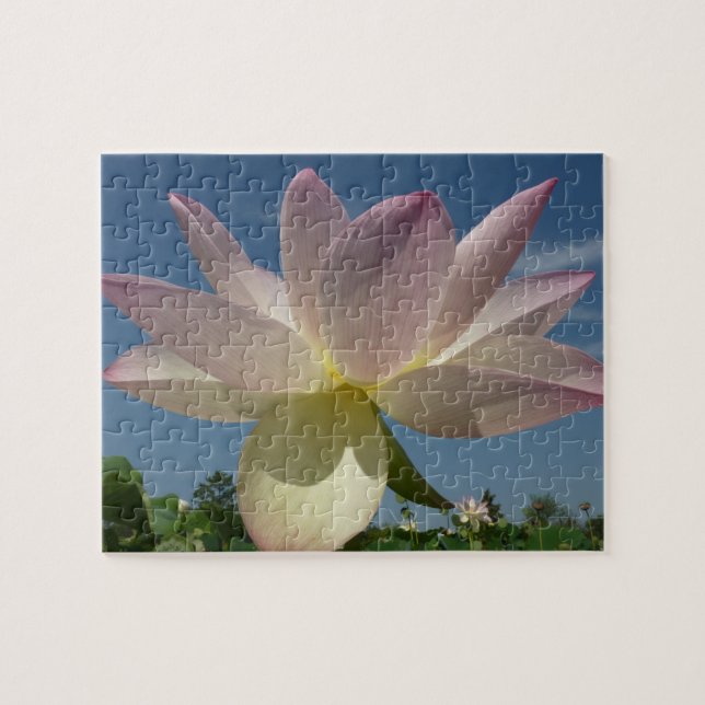 Puzzle Flor de Lotus y cielo azul II (Horizontal)