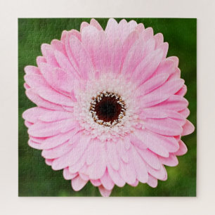 Puzzle Flor de margarita rosa claro