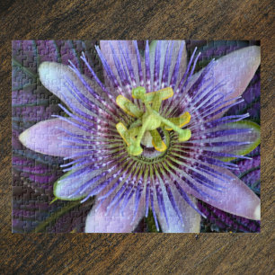 Puzzle Flor de pasión púrpura Fotográfica Botánica