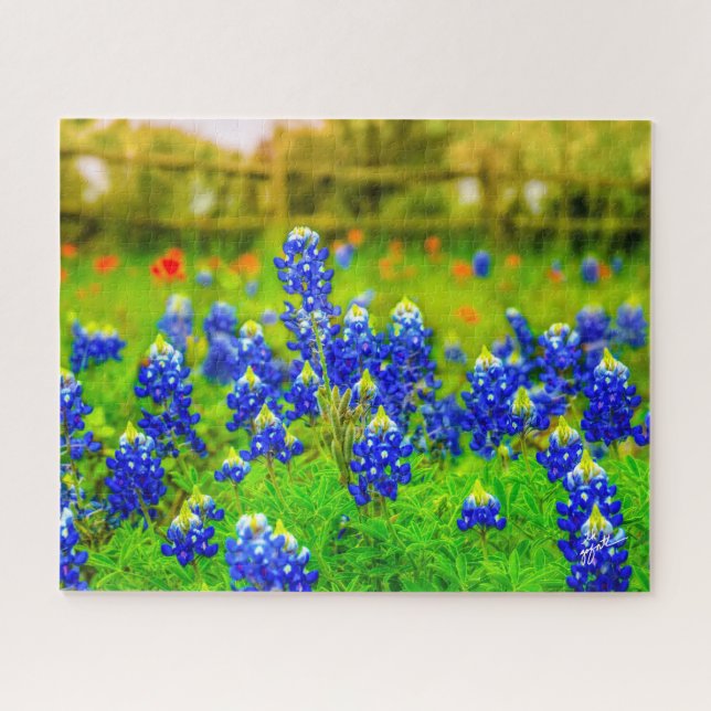 Puzzle Flor de pincel indio de Bluebonnets de Texas (Horizontal)