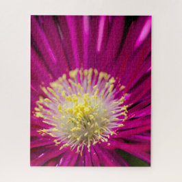 Puzzle Flor de planta de hielo rosa